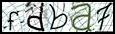 Texto para introducir