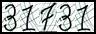 Texto para introducir