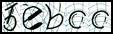 Texto para introducir