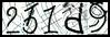Texto para introducir
