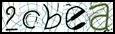 Texto para introducir