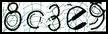 Texto para introducir