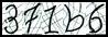 Texto para introducir
