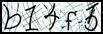 Texto para introducir