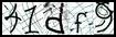 Texto para introducir