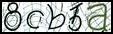 Texto para introducir