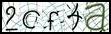 Texto para introducir