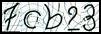 Texto para introducir