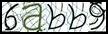 Texto para introducir