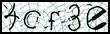 Texto para introducir