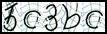 Texto para introducir