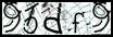 Texto para introducir