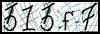 Texto para introducir