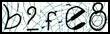 Texto para introducir
