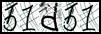 Texto para introducir
