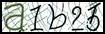 Texto para introducir