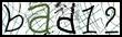 Texto para introducir