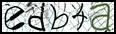 Texto para introducir