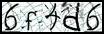 Texto para introducir