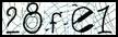Texto para introducir