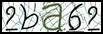 Texto para introducir