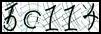 Texto para introducir
