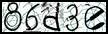 Texto para introducir