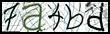 Texto para introducir