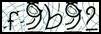 Texto para introducir