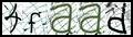 Texto para introducir