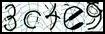 Texto para introducir