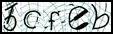Texto para introducir