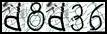 Texto para introducir