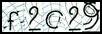Texto para introducir