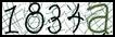 Texto para introducir