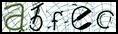 Texto para introducir