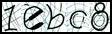 Texto para introducir